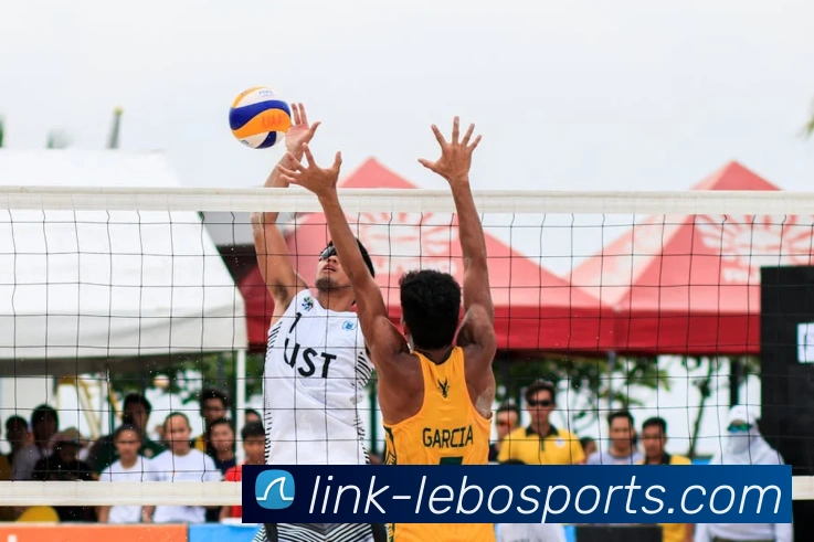 体育下注平台生态图