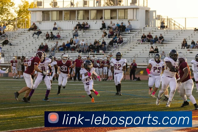 辅助工具 辅助工具